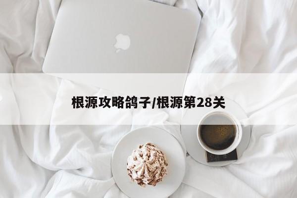 根源攻略鸽子/根源第28关