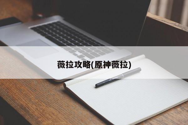 薇拉攻略(原神薇拉)