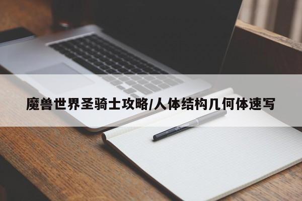 魔兽世界圣骑士攻略/人体结构几何体速写