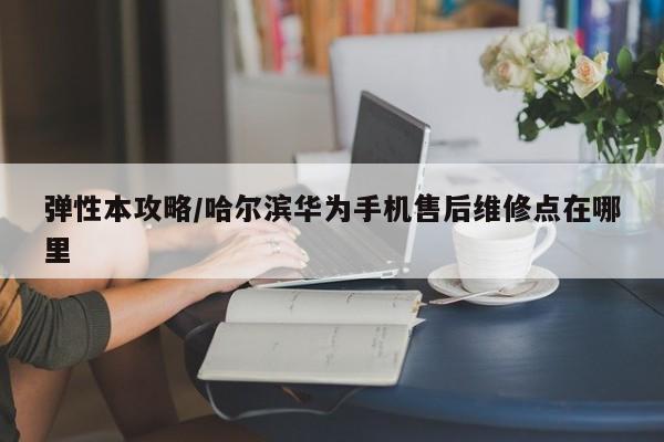 弹性本攻略/哈尔滨华为手机售后维修点在哪里