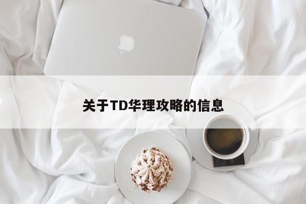 关于TD华理攻略的信息