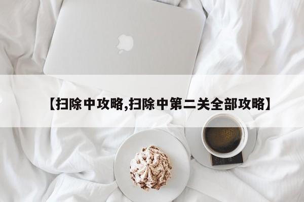 【扫除中攻略,扫除中第二关全部攻略】